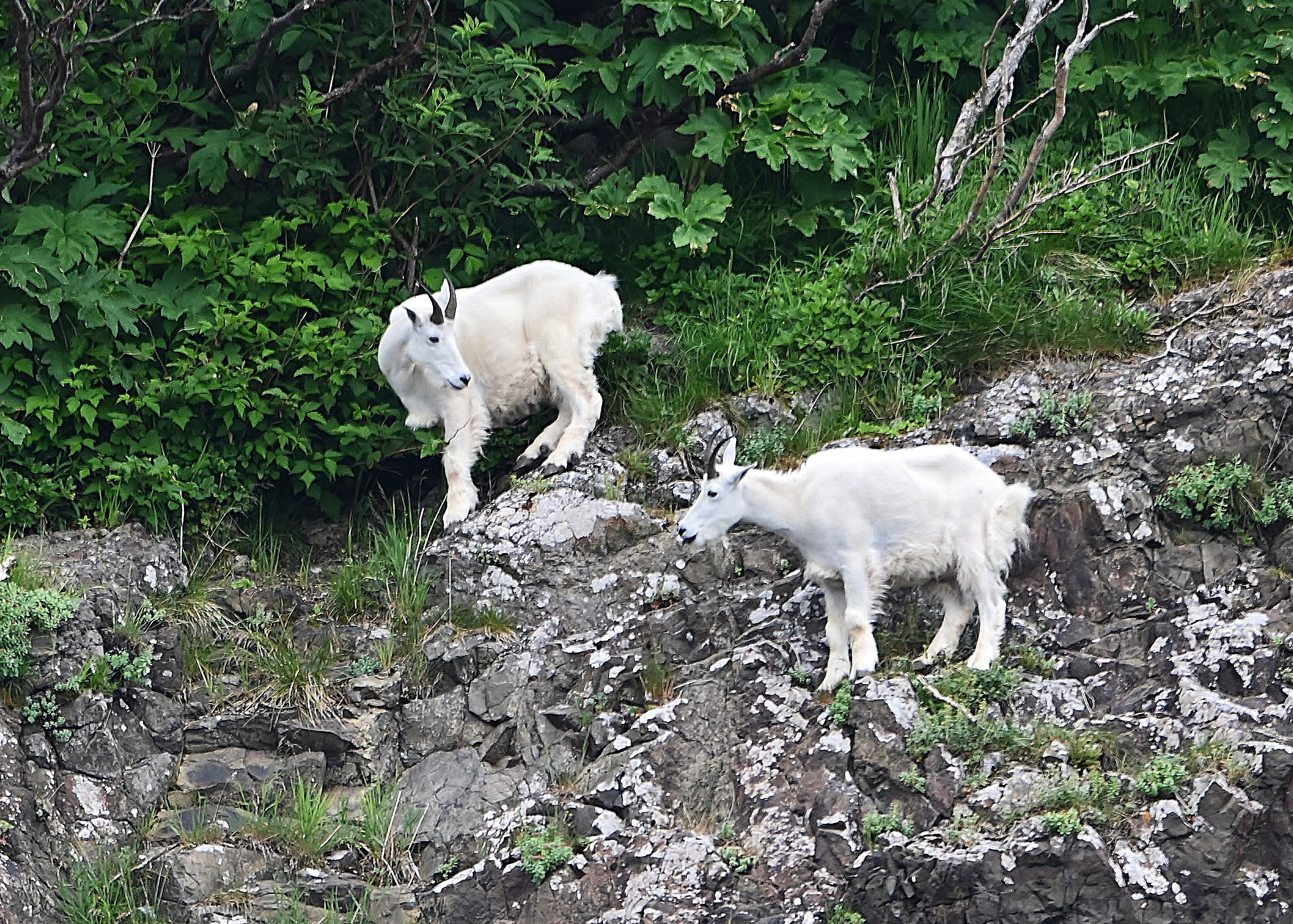 Meeting Photo Slide Show